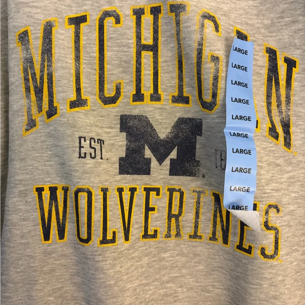 Champion Gray Michigan Wolverines Sweatshirt - Picture 2 of 3